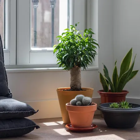 Ideal & Soleado Duplex Con Jardin *